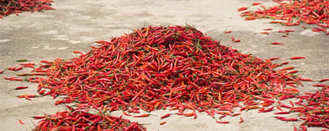 干辣椒晾晒场景图
