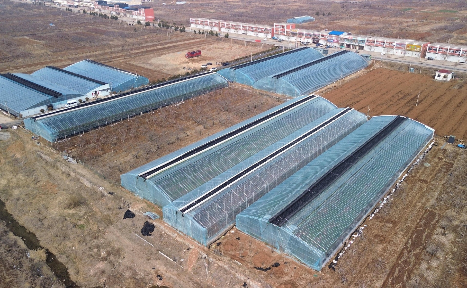 广西百色右江区桂榴一号避雨栽培大棚实景,展示标准化连栋结构、PEP功能膜覆盖、智能通风系统及物联网监测设备,体现设施农业对气候风险的主动干预 广西百色市右江区标准化石榴大棚基地:连栋钢架结构,顶部覆PEP多功能膜,侧墙配备智能卷膜通风系统,棚内悬挂温湿度传感器及补光灯