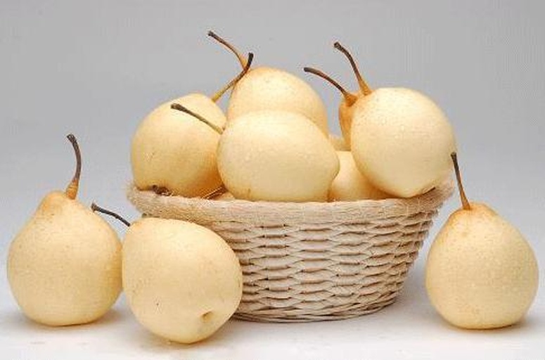 插画风格配图:拟人小黄鸭站立在摇晃开裂的青梨上,象征'野鸭梨'——即失控、突袭、略带荒诞的压力状态;背景乌云与细小闪电强化紧张氛围,色彩明快但情绪反差强烈,体现网络热词的戏谑表达本质 一只拟人化的小黄鸭站在摇晃的梨子上,背景为卡通风格的乌云与闪电,鸭子表情惊慌,梨子表面有裂纹,整体画面诙谐又略带焦虑感