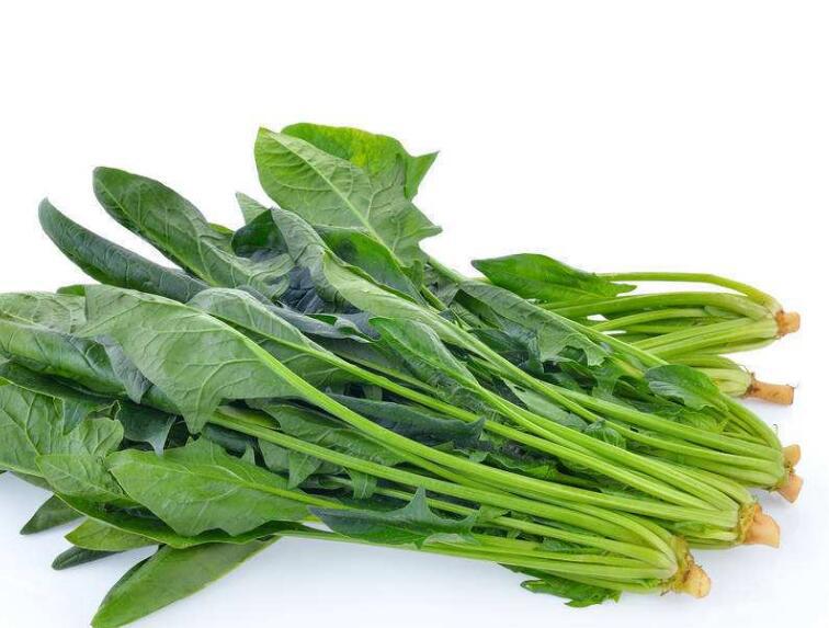 新鲜菠菜与干鲜香菇对比图
