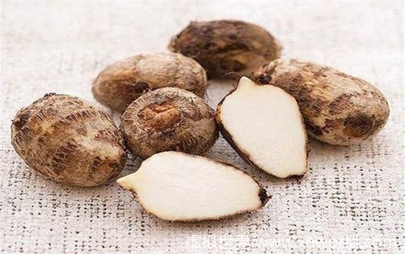 芋头与南瓜的营养对比图示