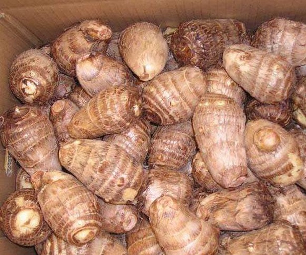 现代冰箱冷藏层内部视角,多组透明密封盒整齐排列,其中一盒可见乳白色芋头块状物,标签显示存储时间为前一天 冰箱冷藏室内摆放着多个密封盒,其中一个盒子内装有切块的熟毛芋头,标签注明日期