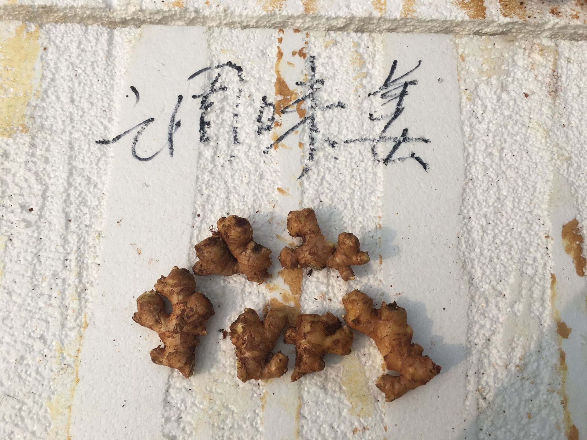 中式早餐桌一角：粗陶碗盛着热气氤氲的生姜红枣茶，浮着两片姜片与三颗红枣，旁置小碟盛有细姜丝和酱油，背景虚化可见竹蒸笼与青花瓷筷架，整体色调温暖质朴