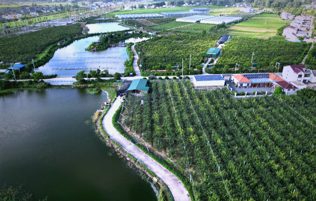 俯拍平铺构图:清晰呈现威基伍德产业链下游高附加值产品形态、包装设计风格与质感细节,强调从田间到消费品的升级路径 威基伍德藤本月季深加工产品矩阵展示:左侧为真空冻干花瓣礼盒(透明亚克力罐装,可见完整花瓣形态),中为月季风味冷泡茶包(棉麻材质+烫金标贴),右侧为实验室提取的天然色素标准品小样(琥珀色液体安瓿瓶)