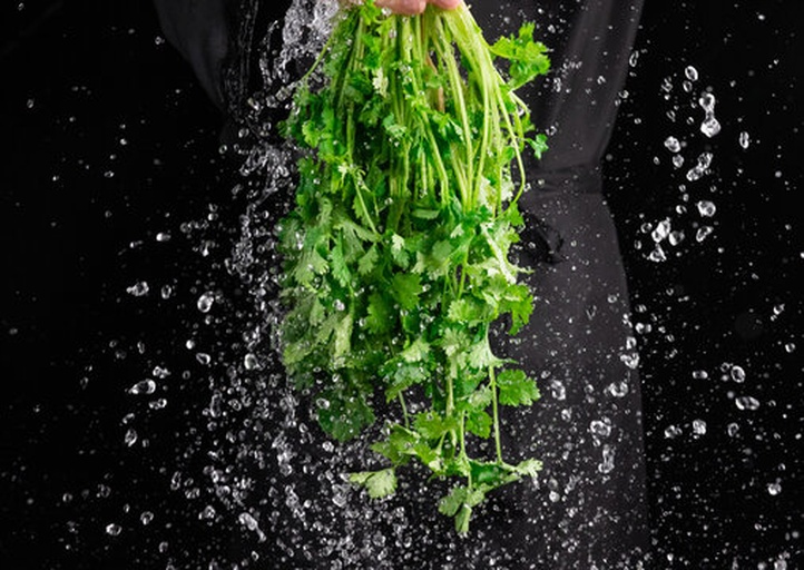 一名厨师正在用手揉搓加了盐的香菜,香菜呈深绿色,部分已出水,操作台上有盐粒和散落的香菜段,背景为不锈钢盆 香菜盐渍过程