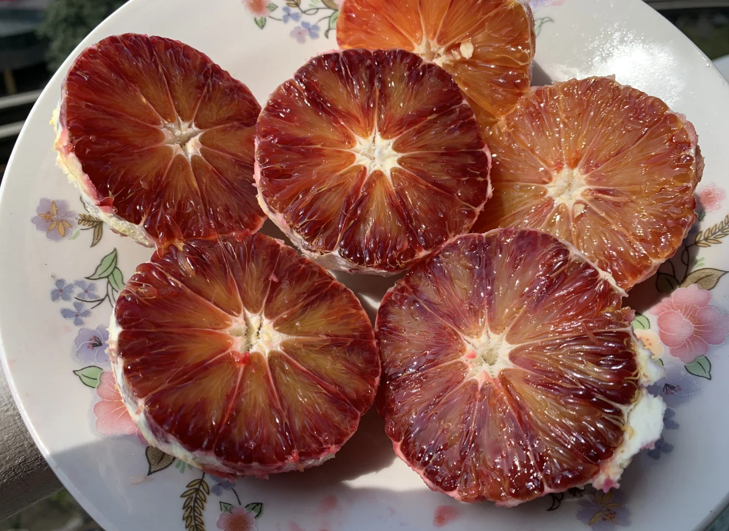 切开的澳洲血橙特写照片