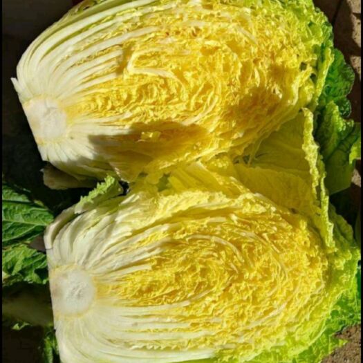 新鲜黄心大白菜被斜刀切成宽条状,白色茎部清晰可见;旁边是一盘切好的五花肉薄片,肥瘦相间,整齐码放于白色瓷盘中 白菜切块与五花肉切片对比图