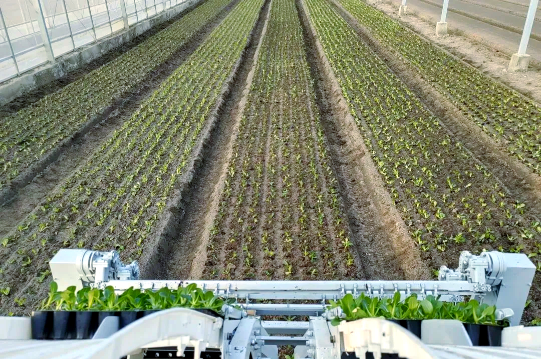 自动化播种线正在运行,传送带上整齐排列着育苗穴盘,工人在监控环境控制系统屏幕,显示温度、湿度、光照数据,背景为连栋玻璃温室结构 现代化无籽西瓜育苗温室内部全景图
