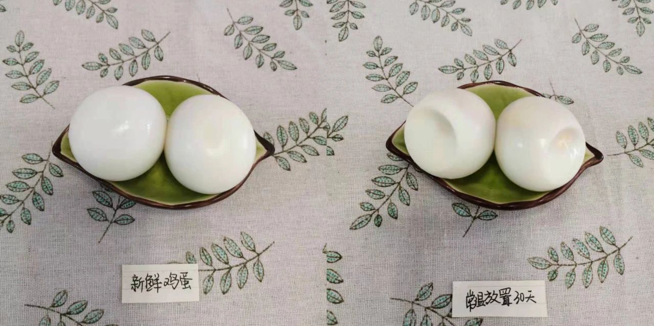 鸡蛋冷藏与常温对比示意图