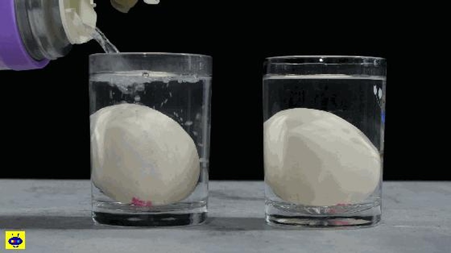 一名小学生戴着手套,正将一勺盐倒入盛有水和鸡蛋的烧杯中,母亲站在身后指导,实验台上排列着三个杯子,分别显示鸡蛋下沉、悬浮和漂浮的状态 儿童在家长陪同下进行鸡蛋悬浮实验,桌上摆放多个装有不同浓度盐水的杯子