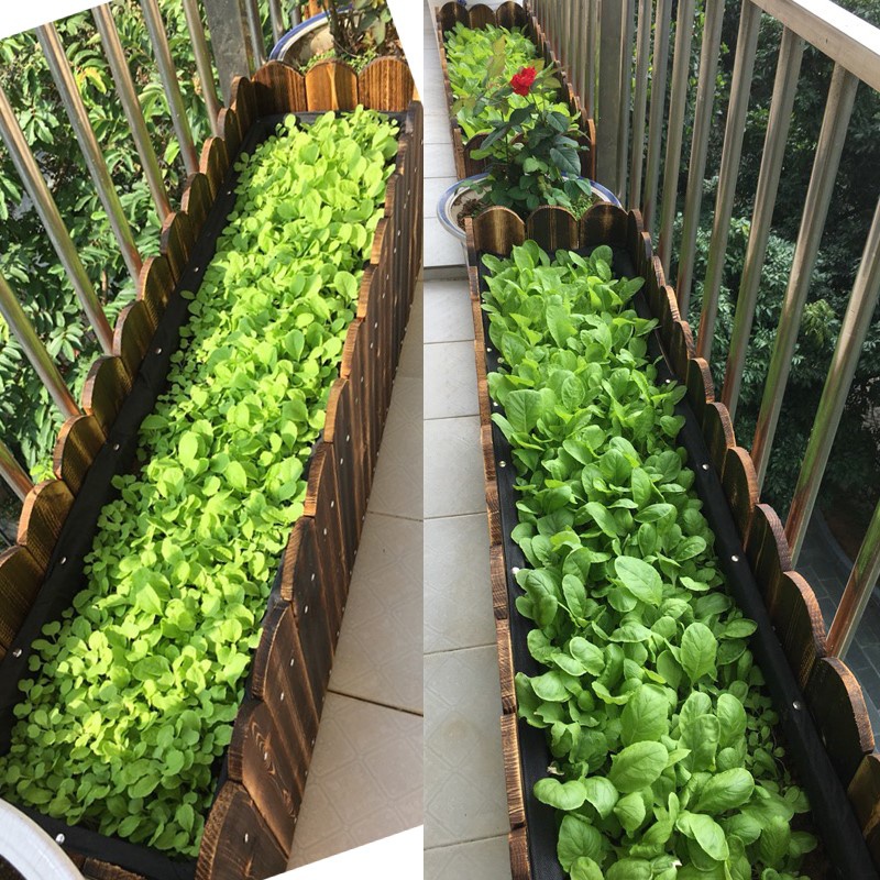 图片展示城市家庭阳台菜园场景,使用种植箱分格设计,左侧种植两株番茄并设支撑杆,右侧为三株豆角搭网架生长,中间插有标识牌注明品种名称,箱体底部有排水孔,整体整洁有序 家庭菜园中豆角与番茄间作成功案例照片