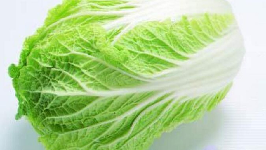 大白菜外层叶片出现局部发白现象