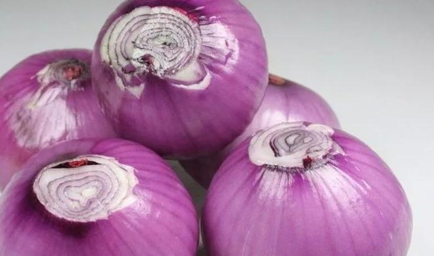 紫洋葱切面特写