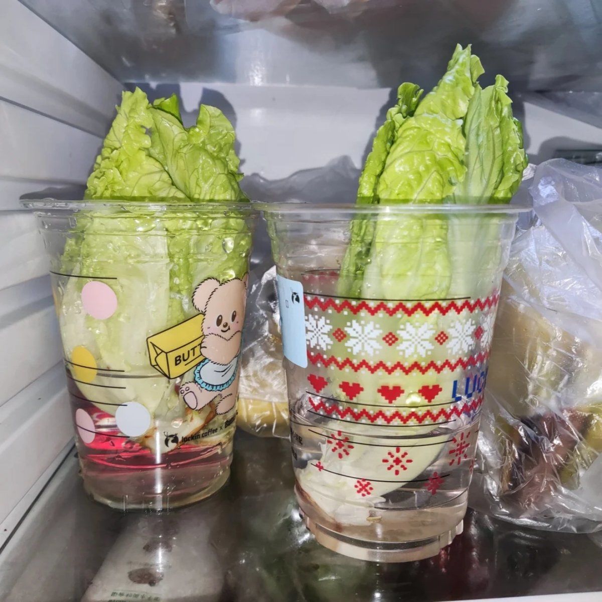 家庭冰箱冷冻生菜常见错误操作示意图