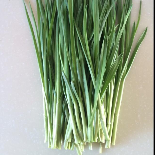 韭菜特写