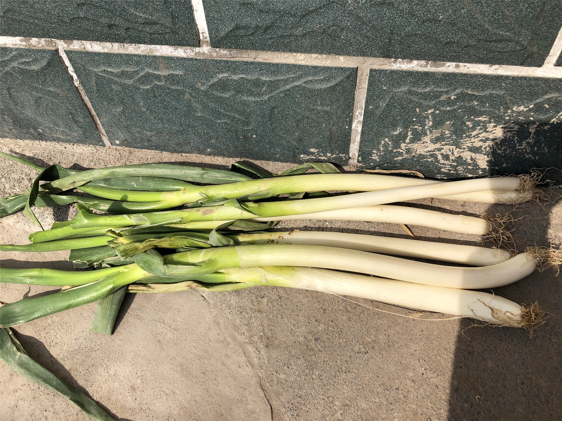 老葱创意再利用场景拼贴