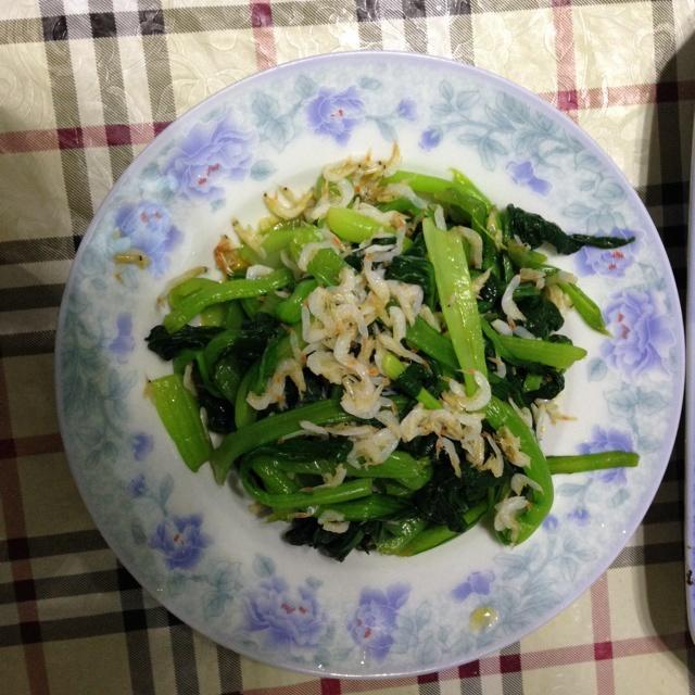 青瓷浅盘中盛放香芹炒虾米:香芹段根根挺立、翠绿欲滴,虾米粒粒金黄蜷曲,散落其间,蒜末如星点缀,表面淋有晶莹香油光泽,盘边点缀两片鲜柠檬角与一小撮白芝麻,整体呈现高饱和度、强对比度的视觉鲜感 香芹炒虾米成品装盘图