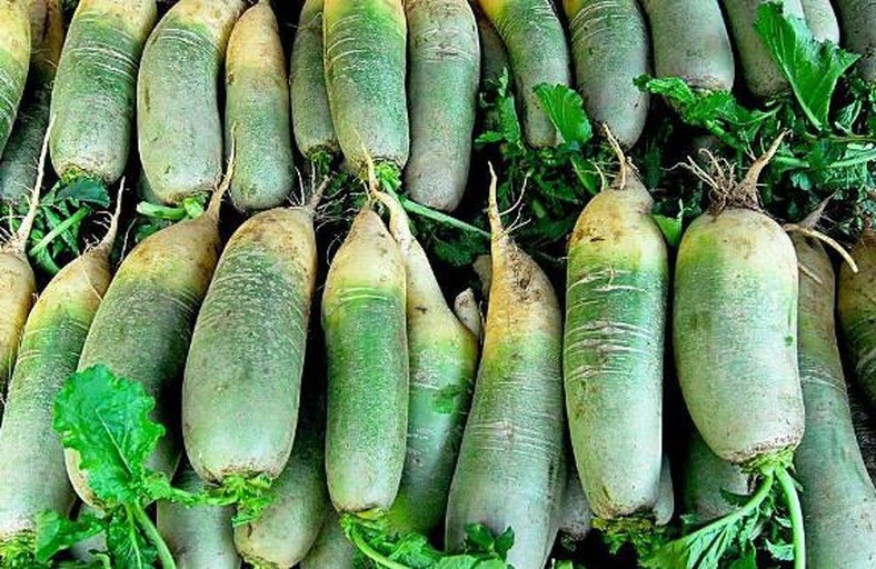 市场摊位上的萝卜陈列图