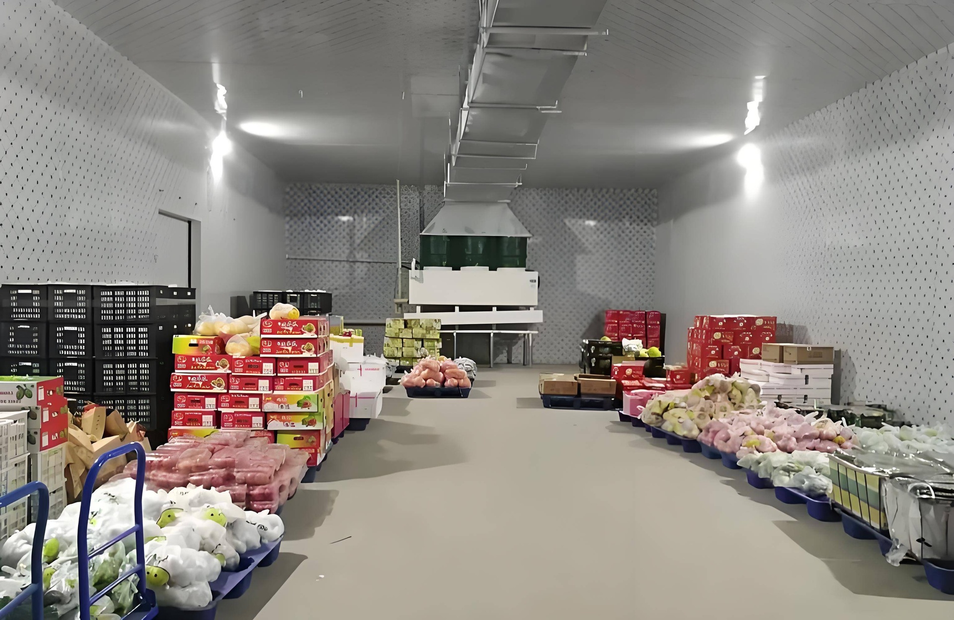 黄金梨冷藏库实景图