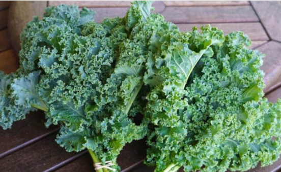 新鲜羽衣甘蓝特写