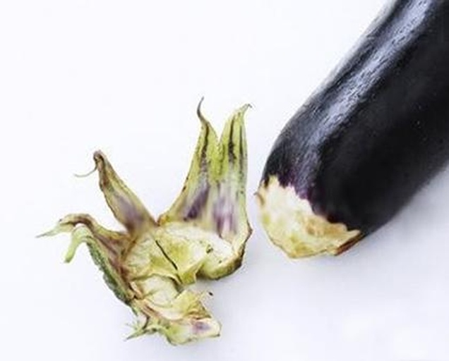 高清特写:青茄斜切菱形片沥水过程,展示3mm厚度、微润表面状态及淡盐水浸泡容器 青茄处理特写:新鲜青茄斜切菱形片,整齐铺在竹筛上,表面微润无水珠,背景可见淡盐水浸泡盆