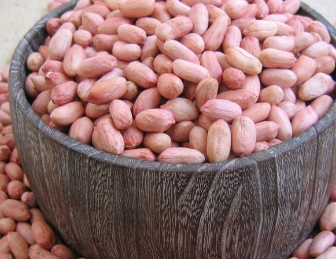 生花生特写