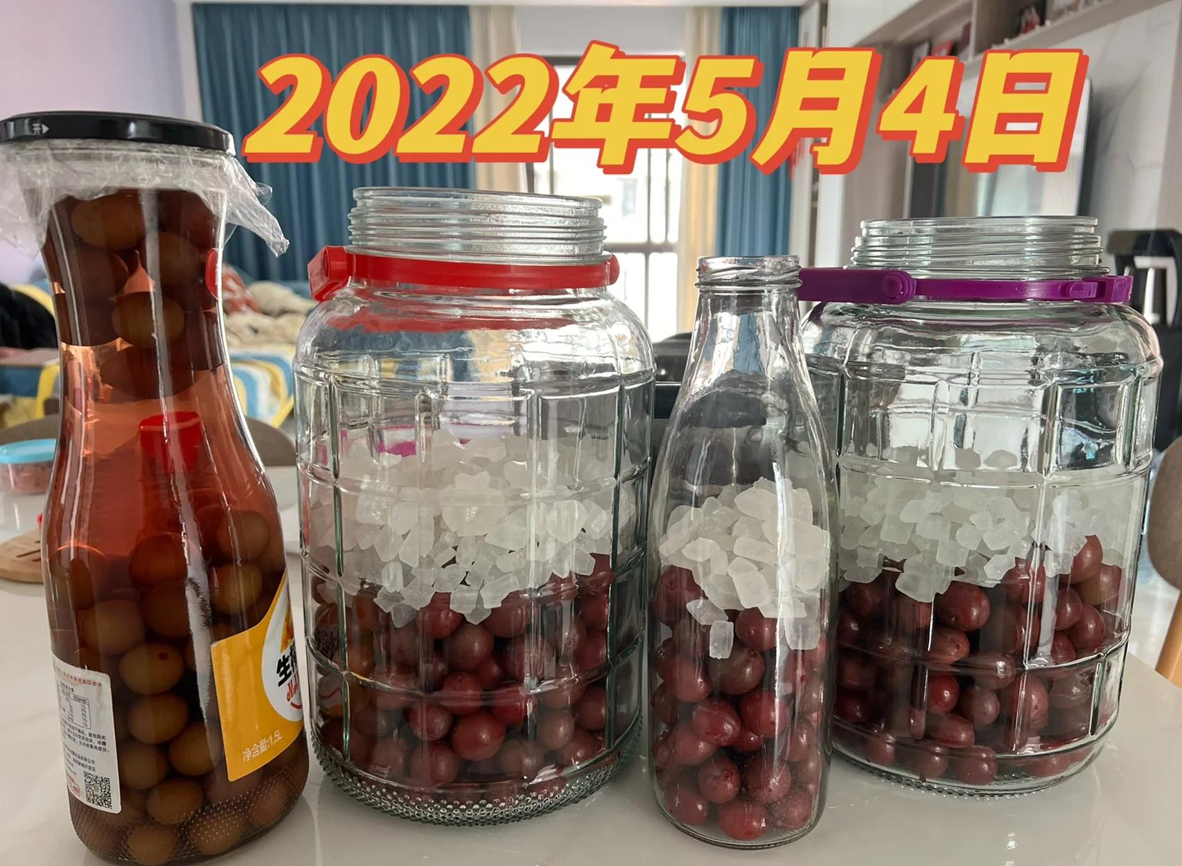 一瓶已完成浸泡的红梅果酒,酒液呈琥珀色至深红宝石色,瓶内可见完整红梅果沉底,标签标注“自酿红梅酒 2024.05”,旁边配有小酒杯盛满酒液,背景为木桌与绿植,营造温馨居家氛围 红梅果酒成品展示