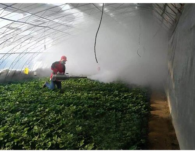 一名农机手正在驾驶自走式喷雾机在刚播种的大豆田中进行封闭除草作业。机器配备标准扇形喷头,均匀喷洒药液于地表。地面土壤细碎平整,无明显裸露秸秆。背景可见温度计显示当前气温为12℃,天气晴朗,符合施药条件。图中配有文字标注:'施药窗口期:播种后24h内,地温>10℃,无降雨预报'。 大豆封闭药施药操作现场示意图