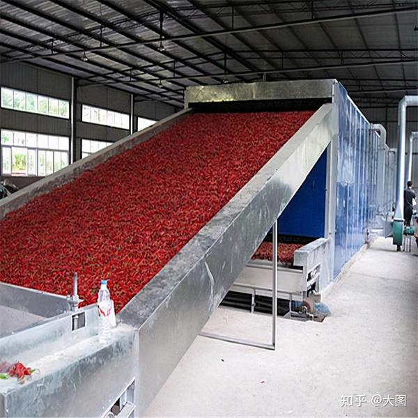 一家现代化干辣椒加工厂内部,工人正在操作自动化烘干设备,传送带上的辣椒均匀分布,车间整洁明亮,体现工业化、标准化生产流程 现代化干辣椒加工厂内部场景