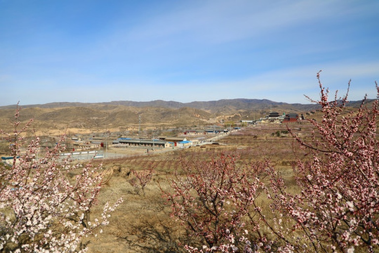福建省南安市向阳乡杏田村全景航拍图,展示丘陵地貌上的连片杏园,春季开花时节白色花海覆盖山坡,远处可见村庄民居与溪流,体现生态农业与自然环境的和谐共生 南安市向阳乡杏田村航拍全景图