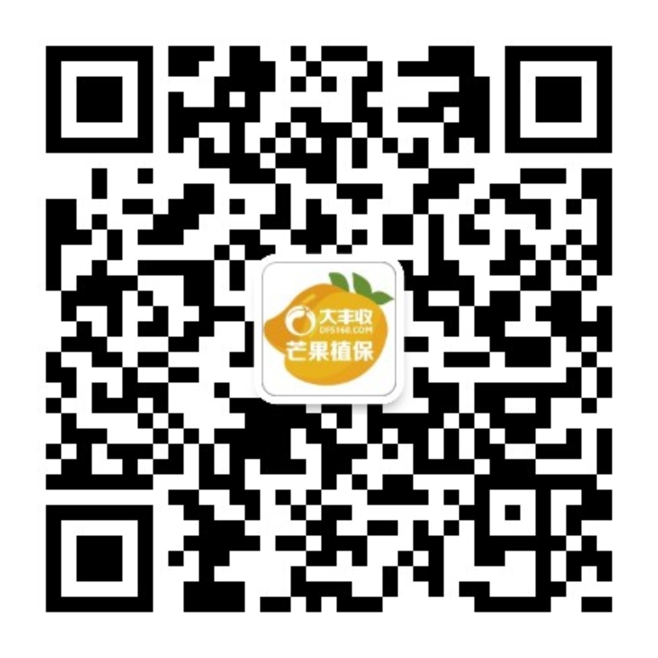 福建省厦门市同安区莲花镇大坪村芒果园,身穿蓝制服的市场监管人员手持移动终端扫描果箱上的‘鹭品码’,屏幕显示地块编号TAQM-LH-2023-0874、采摘日期20240528、检测报告编号NYRZ-2023-MG-087,背景可见悬挂的绿色食品认证标牌与物理防虫网 厦门市场监管局工作人员在同安莲花镇果园现场扫码查验地理标志防伪码
