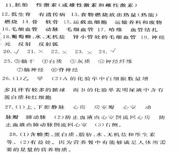 信息图:左侧鹿鞭图标连接下丘脑-垂体-睾丸轴(HPT轴),标注'GnRH↑、LH↑、睾酮合成↑';右侧鹿蛋图标延伸至大脑海马体与肝脏,标注'BDNF↑、突触可塑性↑、HOMA-IR↓、脂代谢↑';底部标注临床适用人群分界线 鹿鞭与鹿蛋功效靶点示意图