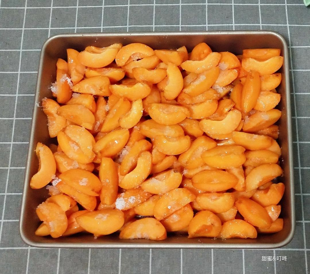 仁杏果子低温烘烤过程特写:铸铁烤盘中整齐铺开的浅褐色带皮杏仁,表面干燥微亮,背景可见精准显示72℃的食品温度计探针插入其中一颗仁体中心 仁杏果子低温烘烤过程特写:铸铁烤盘中整齐铺开的浅褐色带皮杏仁,表面干燥微亮,背景可见精准显示72℃的食品温度计探针插入其中一颗仁体中心