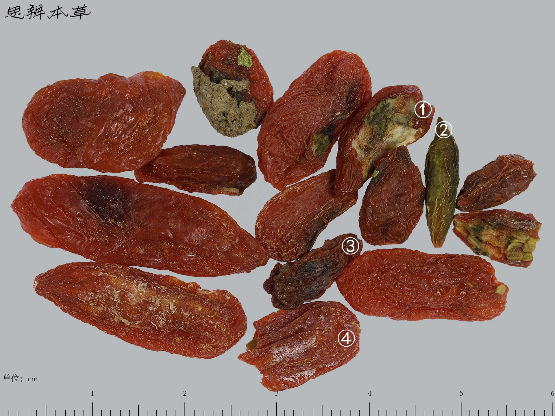 左右对比图:左侧为优质原料组合——宁夏枸杞颗粒均匀、平阴玫瑰花冠完整、湖南葛根片洁净无杂;右侧为劣质样本——枸杞色泽异常鲜亮、玫瑰花破碎发黑、葛根片潮湿结块,中间配有放大镜图标突出差异细节 原料对比图