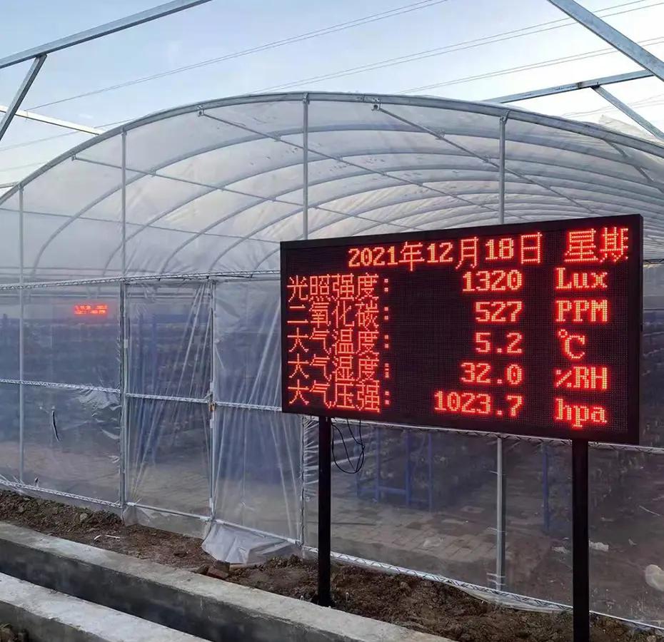 罗汉松不同方位光照强度对比热力图