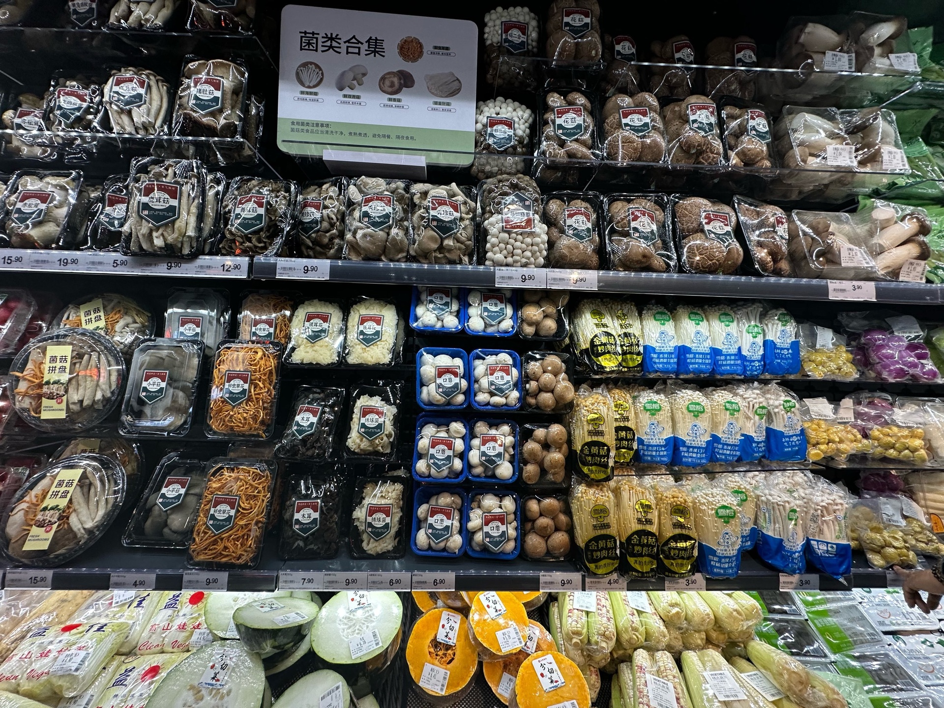 超市货架上摆放整齐的各种平菇类食用菌