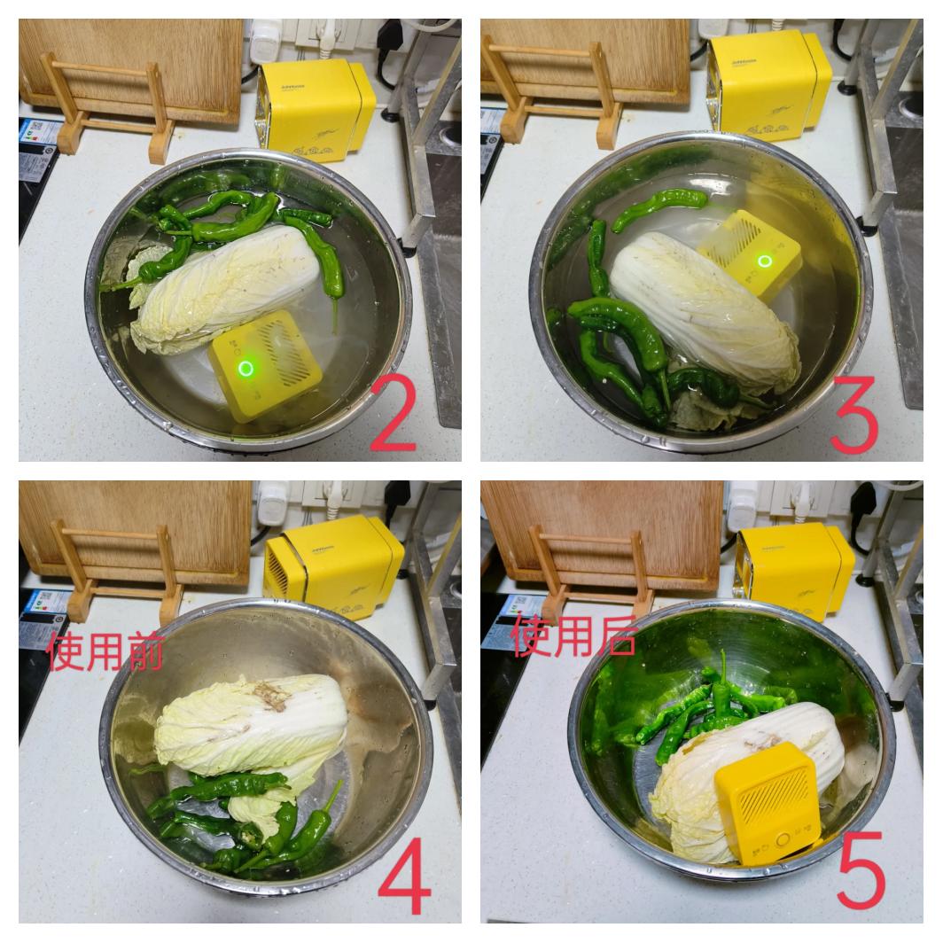 大白菜焯水去苦工艺对比实验