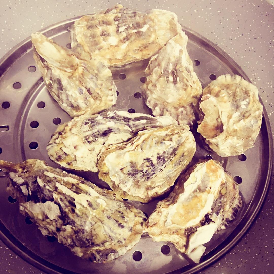 太平洋牡蛎特写