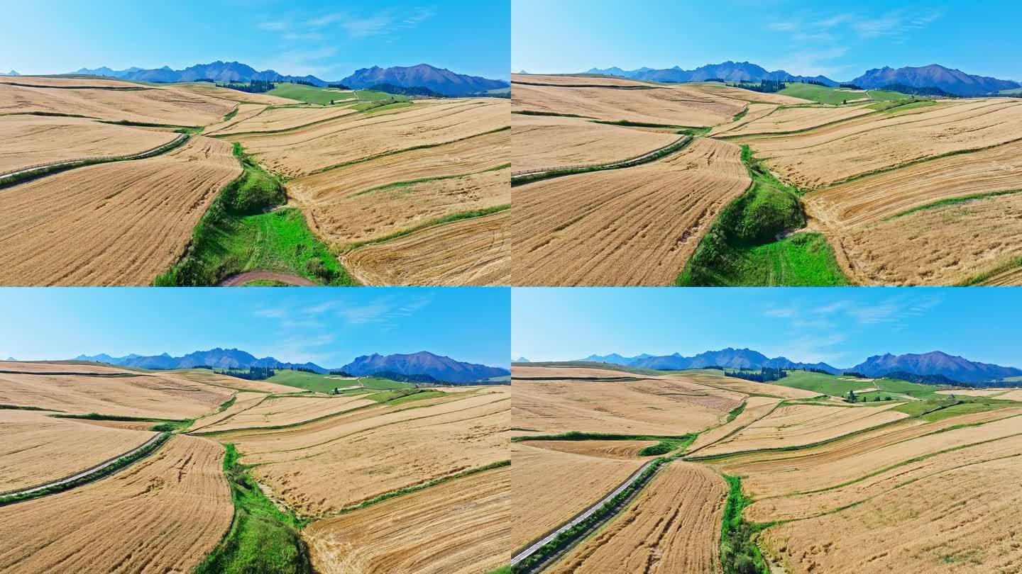 阿西里西大草原韭菜坪航拍全景