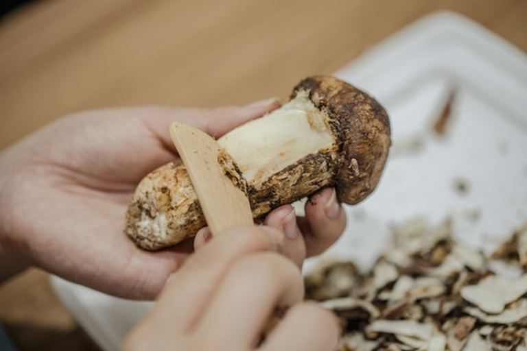 松茸片缓缓投入滚烫鸡汤中的瞬间