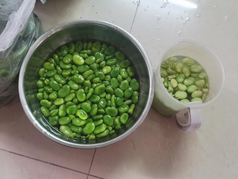 厨房实操场景：不锈钢锅中沸水翻滚，青翠蚕豆粒正在焯烫，旁边玻璃碗盛放洗净撕成大块的结球生菜叶，案板上摆放柠檬切片与蒜末