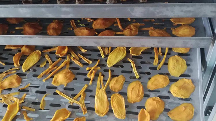 图示:不锈钢烘干机多层托盘,每层整齐平铺金黄色芒果片,片间距≥5mm;背景可见温控屏显示‘68℃’及运行时间‘6h25m’;特写展示果片边缘微翘、表面油润反光 芒果片在烘干机托盘中均匀铺放状态