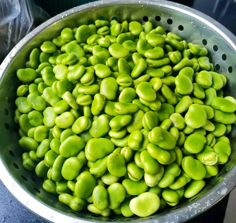 家庭烹饪绿心蚕豆菜肴场景