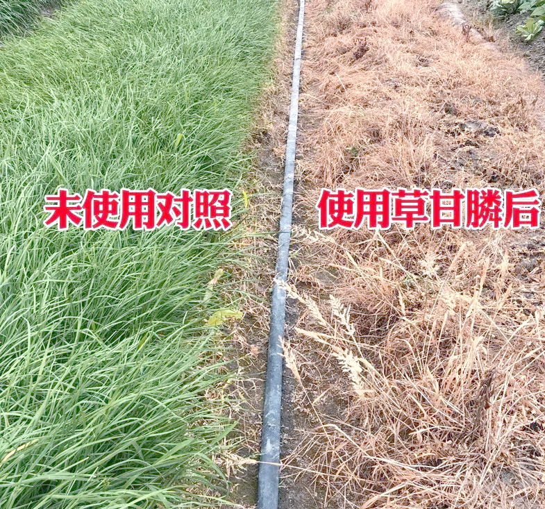 革甘膦分子结构与作用靶点示意图