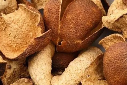 陈皮黄芪水原料特写：左侧为表面布满均匀白霜、卷曲成拳状的新会陈皮（陈化5年），右侧为断面呈淡黄白色、菊花心明显、质地绵密的山西浑源黄芪饮片
