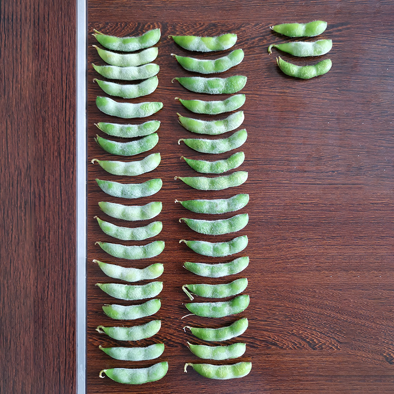 毛豆与黄豆对比图