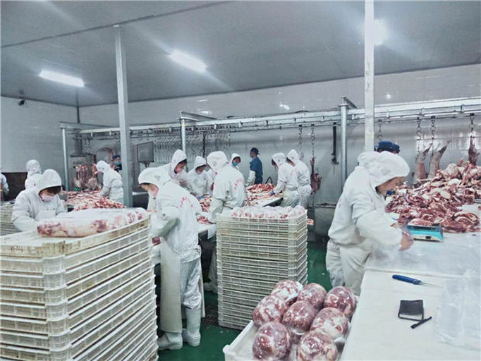 急冻羊白条在现代化冷链车间中的分割与包装场景