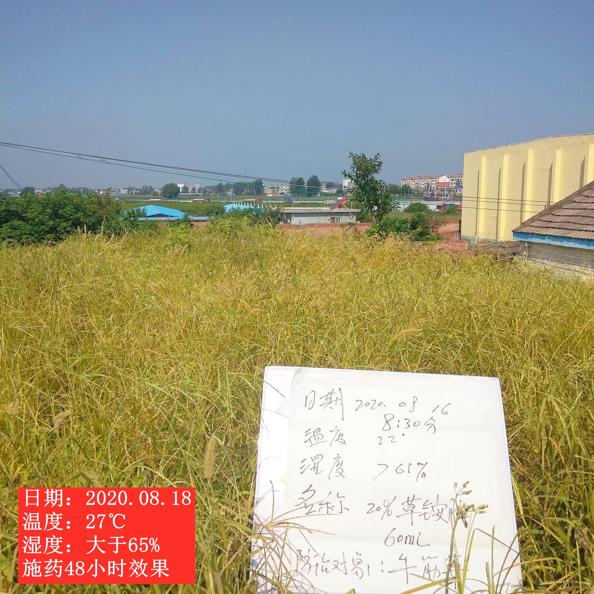 横轴为日均气温(℃),纵轴为相对药效(%)。曲线显示:10–15℃区间药效缓慢上升;15–28℃为高效平台区(药效稳定≥85%);28–32℃开始波动;>32℃或<10℃时药效断崖式下跌至<40%。图中用红色虚线标注‘安全施药温度带’(15–28℃),并标注典型除草剂名称对应峰值温度点:草甘膦(22℃)、草铵膦(20℃)、2,4-D(18℃)、灭草松(25℃) 温度-药效关系曲线图