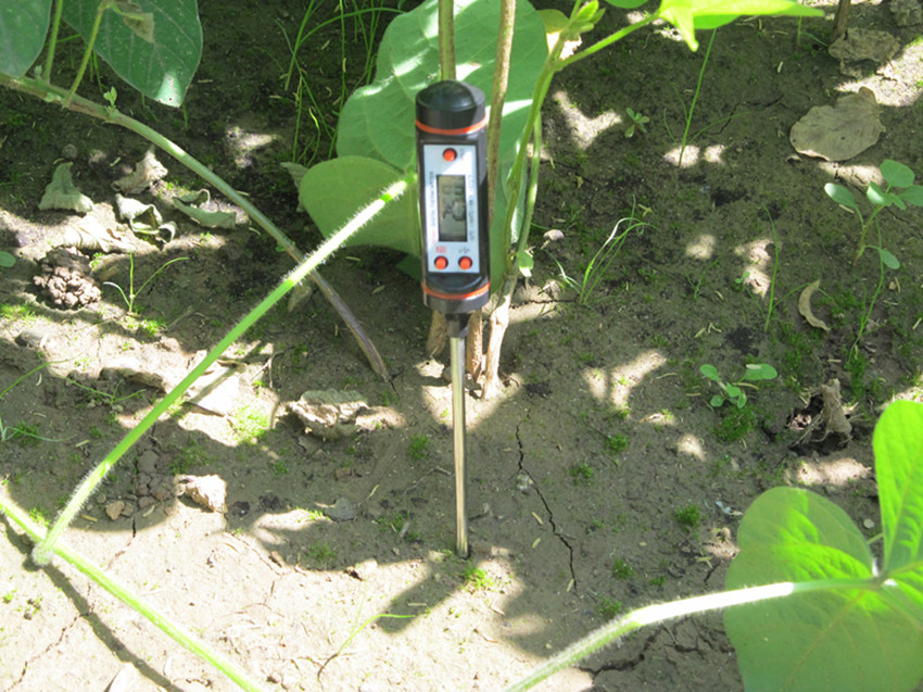 一名农业技术人员正在农田中使用手持式土壤温度计测量5厘米深度的地温,背景为刚翻耕过的土地,远处有农民整地作业,天空晴朗,时间为春季上午 早糯玉米田间测温作业现场