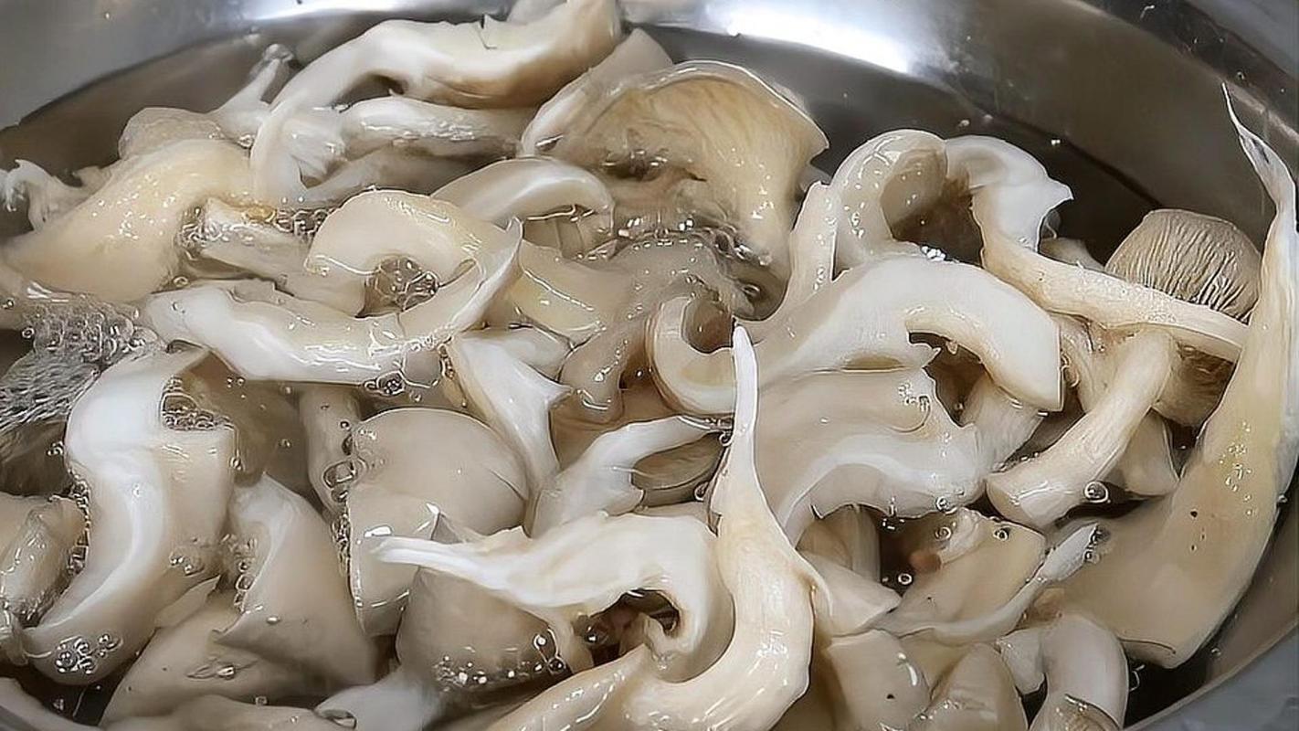 分格示意图:左上为丝瓜去皮后浸于淡盐水(水面漂浮少量茸毛);右上为口蘑用微潮软布单向擦拭特写(布面微湿,菌盖洁净);左下为丝瓜滚刀块撒盐静置(盐粒均匀附着);右下为口蘑片在沸水中焯烫30秒(水花翻腾,菌片舒展),四格清晰展示核心预处理动作 食材处理过程图